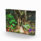 Bloc Photo Enchantement (Droite)