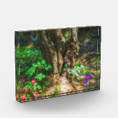 Bloc Photo Enchantement (Gauche)
