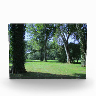 Bloc Photo Entrée dans la forêt de Greenwood