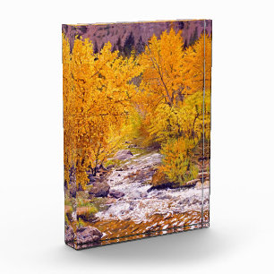 Bloc Photo Érables colorés de l'automne dans le Colorado