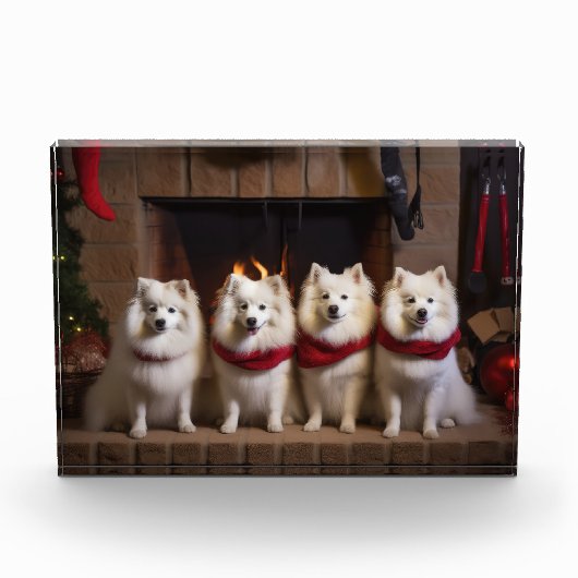 Bloc Photo Esquimau américain près de la cheminée Noël (Devant)