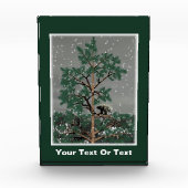 Bloc Photo Et Une Porcupine Dans Un Pin Tree (Devant)