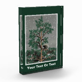 Bloc Photo Et Une Porcupine Dans Un Pin Tree (Gauche)