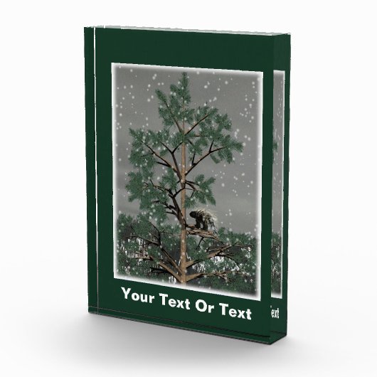 Bloc Photo Et Une Porcupine Dans Un Pin Tree (Droite)