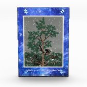 Bloc Photo Et Une Porcupine Dans Un Pin Tree (Devant)