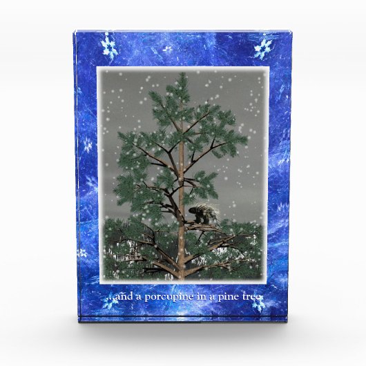 Bloc Photo Et Une Porcupine Dans Un Pin Tree (Devant)