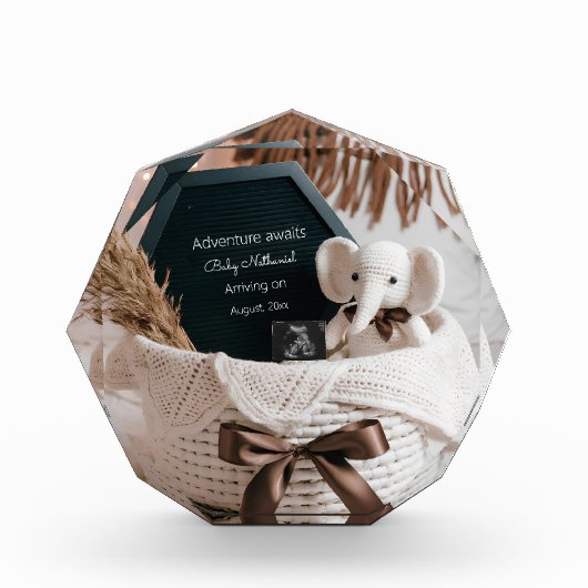 Bloc Photo Faire-part de grossesse neutre Boho Pampas (Devant)