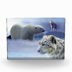 Bloc Photo Faune