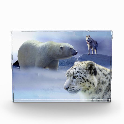 Bloc Photo Faune (Devant)