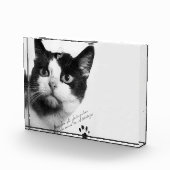 Bloc Photo Félicette : Le premier chat dans l'espace (Droite)