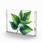 Bloc Photo Feuilles et fleurs botaniques (Droite)