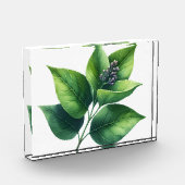 Bloc Photo Feuilles et fleurs botaniques (Gauche)