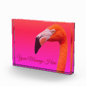 Bloc Photo Flamant (Droite)