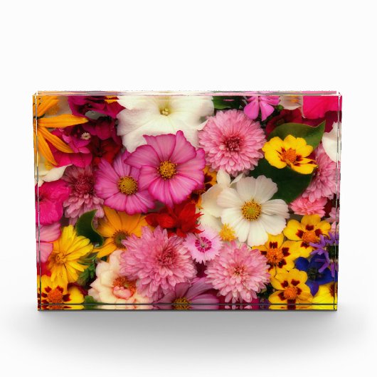 Bloc Photo Fleur (Devant)