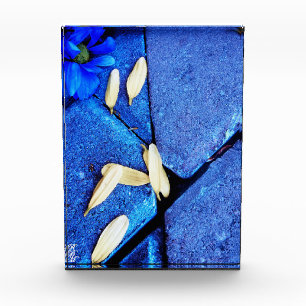 Bloc Photo Fleur bleue et pétales jaunes