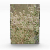 Bloc Photo Fleur fantôme (Devant)