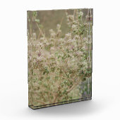 Bloc Photo Fleur fantôme (Gauche)