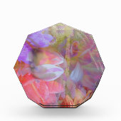 Bloc Photo Fleur Fée Double exposition Imaginaire Art (Devant)