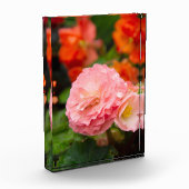 Bloc Photo Fleur rose délicate après la pluie (Gauche)