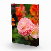 Bloc Photo Fleur rose délicate après la pluie (Droite)