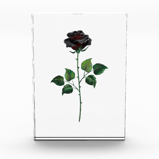 Bloc Photo Fleur rose noire (Devant)