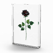 Bloc Photo Fleur rose noire (Droite)