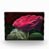 Bloc Photo Fleur Rouge Rose Vert Black Art Floral Fleurs (Devant)