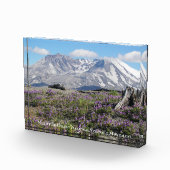 Bloc photo Fleur sauvage du Mont St Helens (Droite)