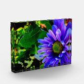 Bloc Photo Fleur Violet Clair (Gauche)