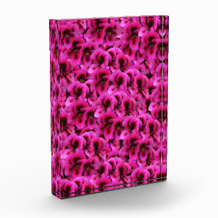 Bloc Photo Fleurs De Géranium Magenta Chaud,