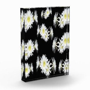 Bloc Photo Fleurs De Minuit : Fleurs De Cactus Blancs Sur Noi