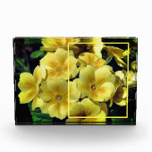 Bloc Photo Fleurs de Primrose Jaune Créez votre propre (Devant)