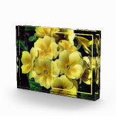 Bloc Photo Fleurs de Primrose Jaune Créez votre propre (Droite)