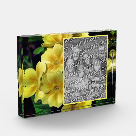 Bloc Photo Fleurs de Primrose Jaune Créez votre propre (Gauche)
