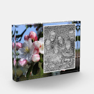 Bloc Photo Fleurs de printemps gaies Ajoutez votre propre