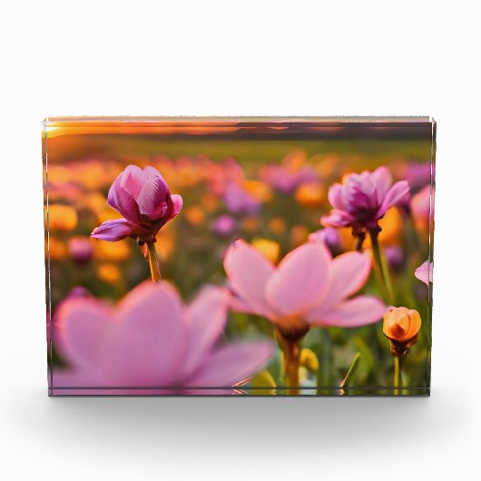 Bloc Photo Fleurs de printemps pour la Saint Valentin (Devant)