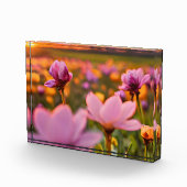 Bloc Photo Fleurs de printemps pour la Saint Valentin (Droite)