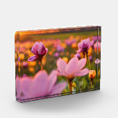 Bloc Photo Fleurs de printemps pour la Saint Valentin (Gauche)