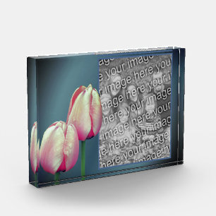 Bloc Photo Fleurs de tulipes roses Ajoutez-en votre propre