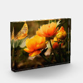 Bloc Photo Fleurs et papillon (Gauche)