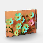 Bloc Photo Fleurs Zinnia Elegans (Gauche)