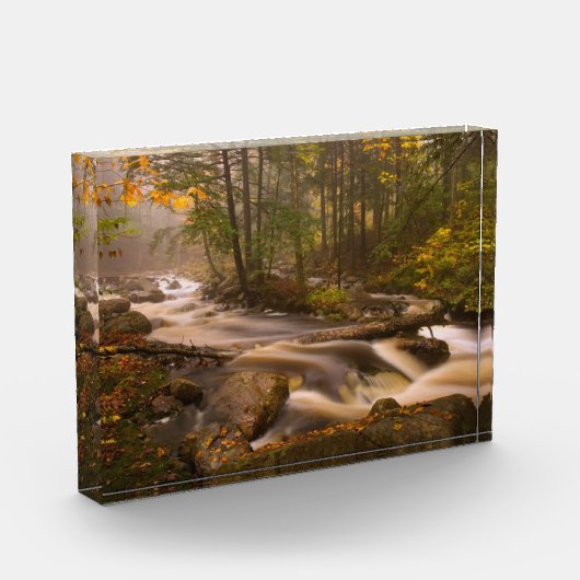 Bloc Photo Flux Flux Sentier Appalachien | Vermont (Gauche)