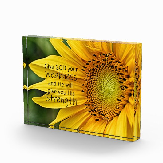 Bloc Photo Force des tournesols (Droite)