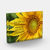 Bloc Photo Force des tournesols (Gauche)