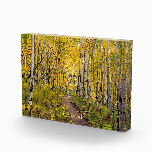 Bloc Photo Forêt d'Aspen (Droite)