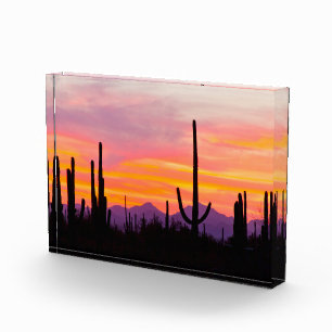 Bloc Photo Forêt de cactus saguaro au coucher du soleil