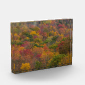 Bloc Photo Forêt de feuillus dans le comté de Randolph, Virgi (Gauche)