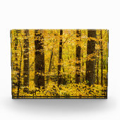 Bloc Photo Forêt nationale de Fall Pisgah (Devant)