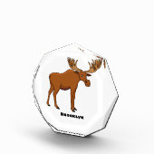 Bloc Photo Funny moose (Droite)