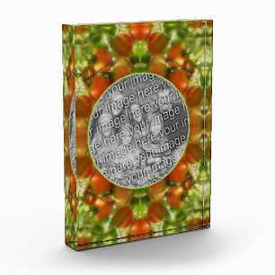 Bloc Photo Garden Cherry Tomatoes Nature Ajouter votre